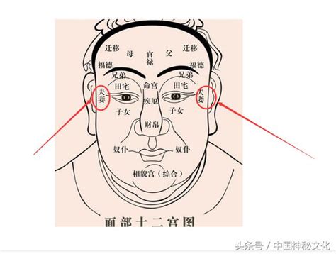 夫妻宮有痣|面相十二宮詳解——夫妻宮